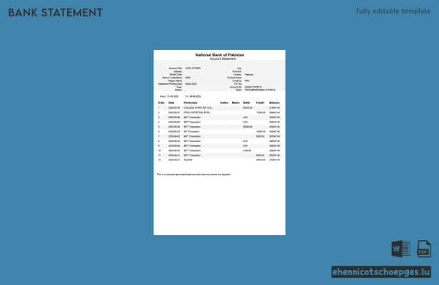 Kontoauszug der Pakistan National Bank of Pakistan (Word-Format, 2 Seiten), Beispielvorschau